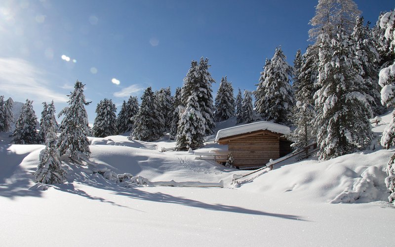 Hütte im Schnee mit Winterwald